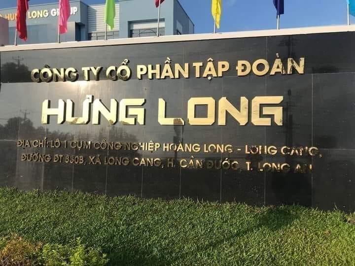 lĩnh vực hoạt động